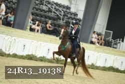 24R13_19138 thumbnail