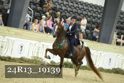 24R13_19139 thumbnail