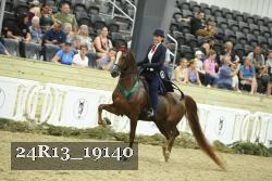 24R13_19140 thumbnail