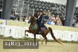 24R13_19141 thumbnail