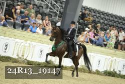 24R13_19147 thumbnail