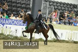 24R13_19151 thumbnail