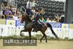24R13_19152 thumbnail