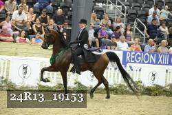 24R13_19153 thumbnail