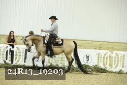 24R13_19203 thumbnail
