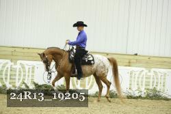 24R13_19205 thumbnail