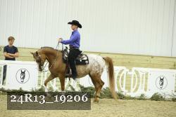 24R13_19206 thumbnail