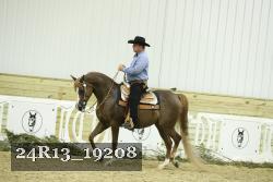24R13_19208 thumbnail