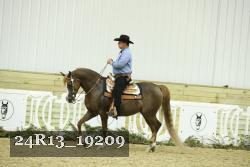 24R13_19209 thumbnail