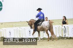 24R13_19210 thumbnail