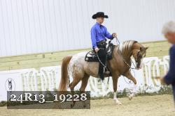 24R13_19228 thumbnail