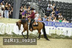 24R13_19252 thumbnail
