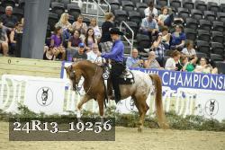 24R13_19256 thumbnail