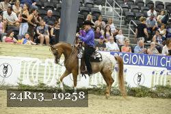24R13_19258 thumbnail