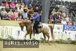 24R13_19259 thumbnail