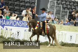 24R13_19264 thumbnail