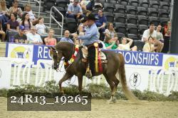 24R13_19265 thumbnail