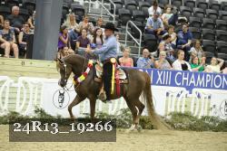 24R13_19266 thumbnail
