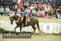 24R13_19269 thumbnail