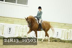 24R13_19303 thumbnail