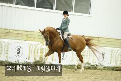 24R13_19304 thumbnail