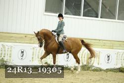 24R13_19305 thumbnail