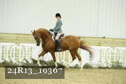 24R13_19307 thumbnail