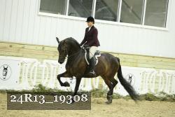 24R13_19308 thumbnail