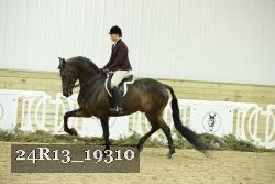 24R13_19310 thumbnail