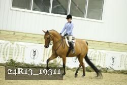 24R13_19311 thumbnail