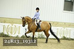 24R13_19312 thumbnail