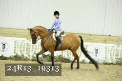 24R13_19313 thumbnail