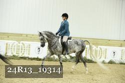 24R13_19314 thumbnail