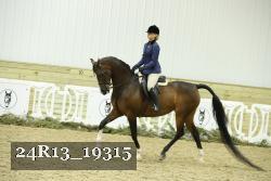 24R13_19315 thumbnail