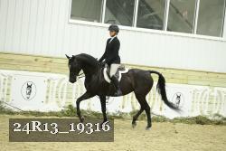 24R13_19316 thumbnail