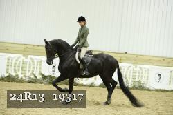 24R13_19317 thumbnail