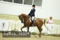 24R13_19318 thumbnail