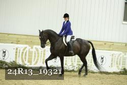 24R13_19321 thumbnail