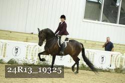 24R13_19325 thumbnail