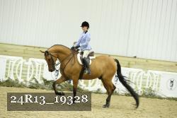 24R13_19328 thumbnail