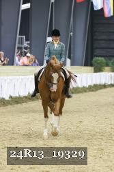 24R13_19329 thumbnail