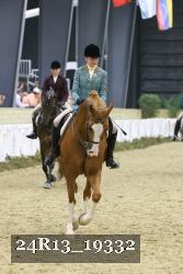 24R13_19332 thumbnail