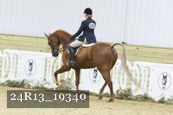 24R13_19340 thumbnail