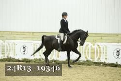 24R13_19346 thumbnail