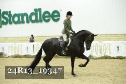 24R13_19347 thumbnail