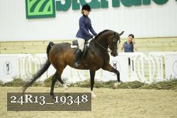 24R13_19348 thumbnail