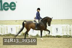 24R13_19349 thumbnail