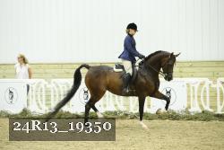 24R13_19350 thumbnail