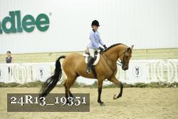24R13_19351 thumbnail
