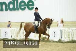 24R13_19353 thumbnail